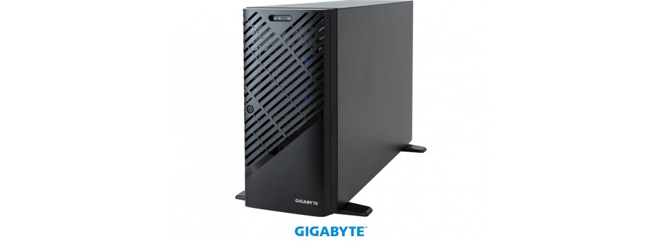 Материнская плата GIGABYTE W733-W30: поддержка мультимедиа